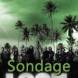 Sondage